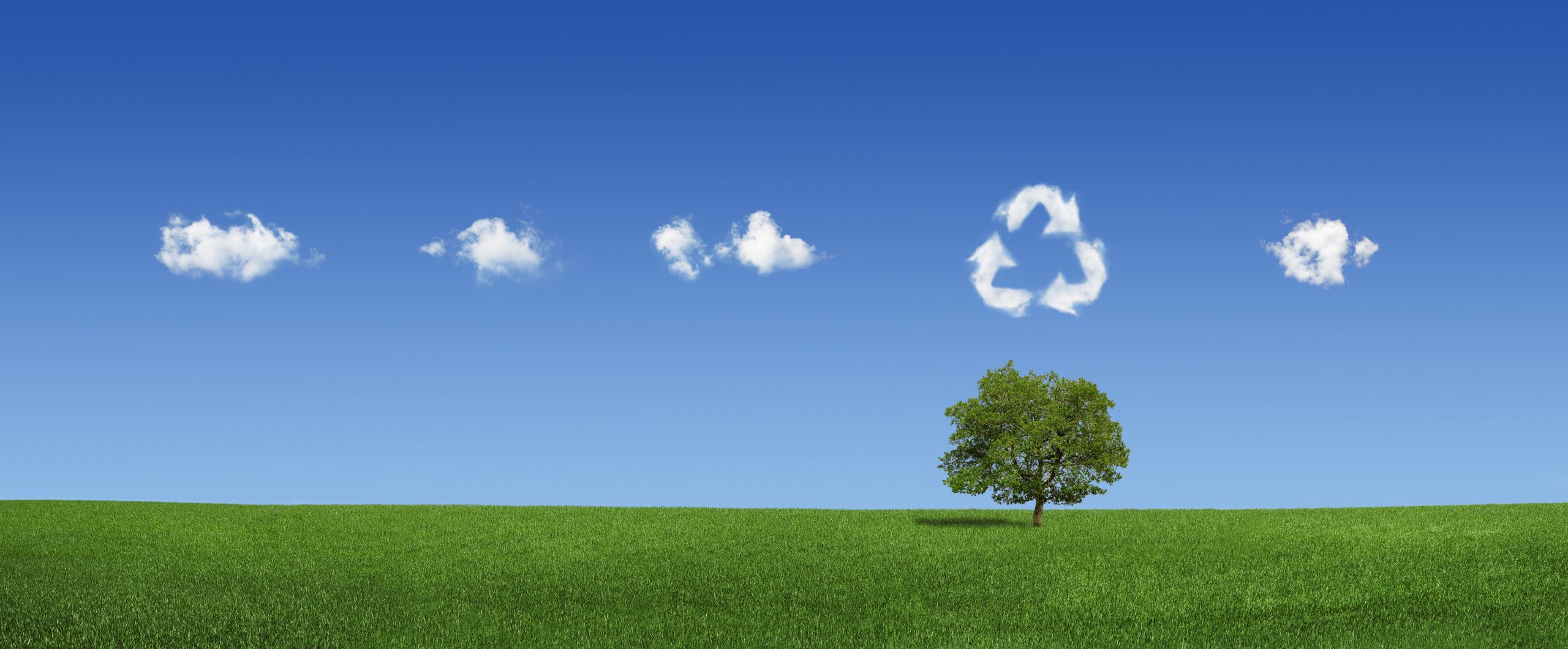 Nachhaltigkeit Recycling Baum Wolken