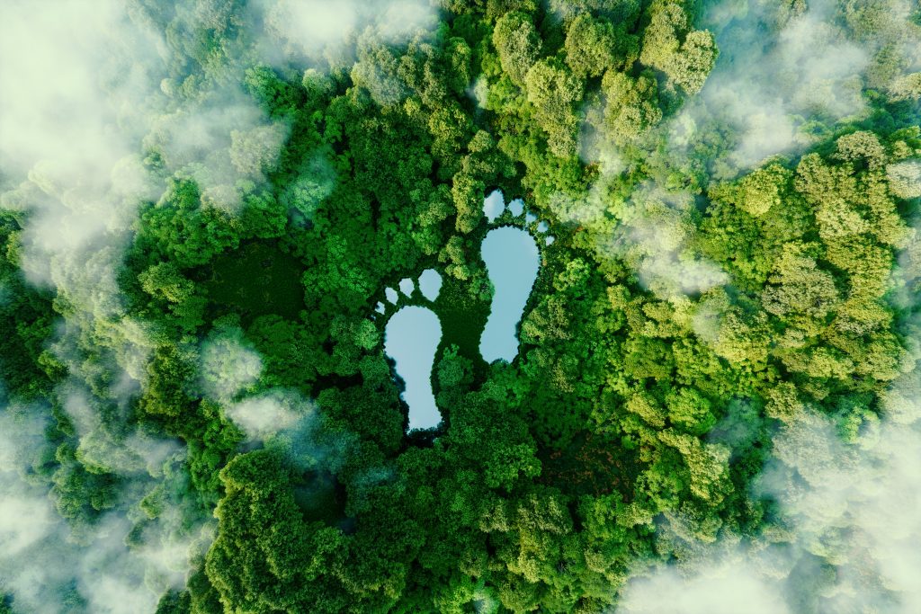 Ein See in Form menschlicher Fußabdrücke inmitten einer üppigen Vegetation